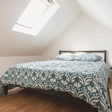 Magnifique Duplex Atypique Proche Gare Appartement Mulhouse