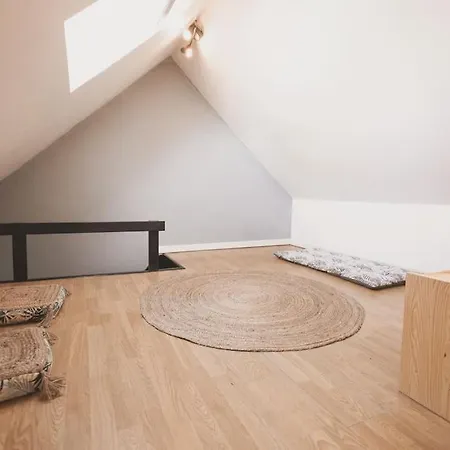 Appartement Magnifique Duplex Atypique Proche Gare Mulhouse