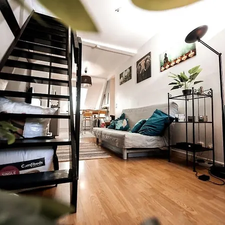 Appartement Magnifique Duplex Atypique Proche Gare Mulhouse